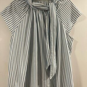 *NWOT* Ann Taylor Striped Blue and White Women's Top